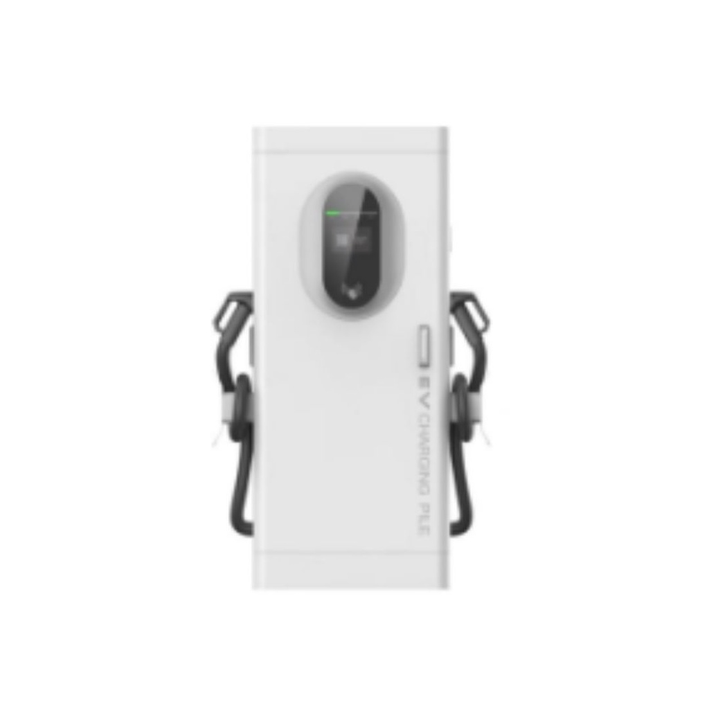 Natural 240kW DC EV Charger